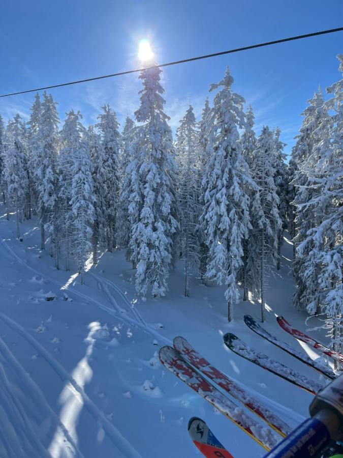Skigebiete Stuhleck Und Semmering,Wandergebiete Schneeberg Und Rax Neunkirchen Exterior foto